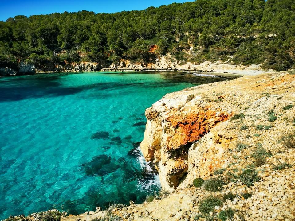 Excursions en bateau & snorkeling